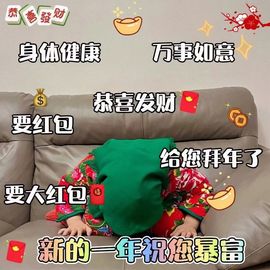 喵崽小花猫的图片