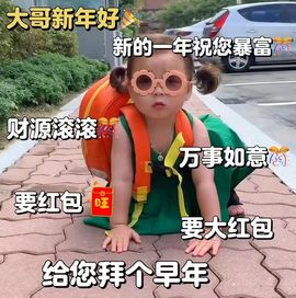 喵崽小花猫的图片