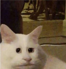 阳阳💕休主播照片
