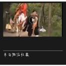 张永珍n的头像