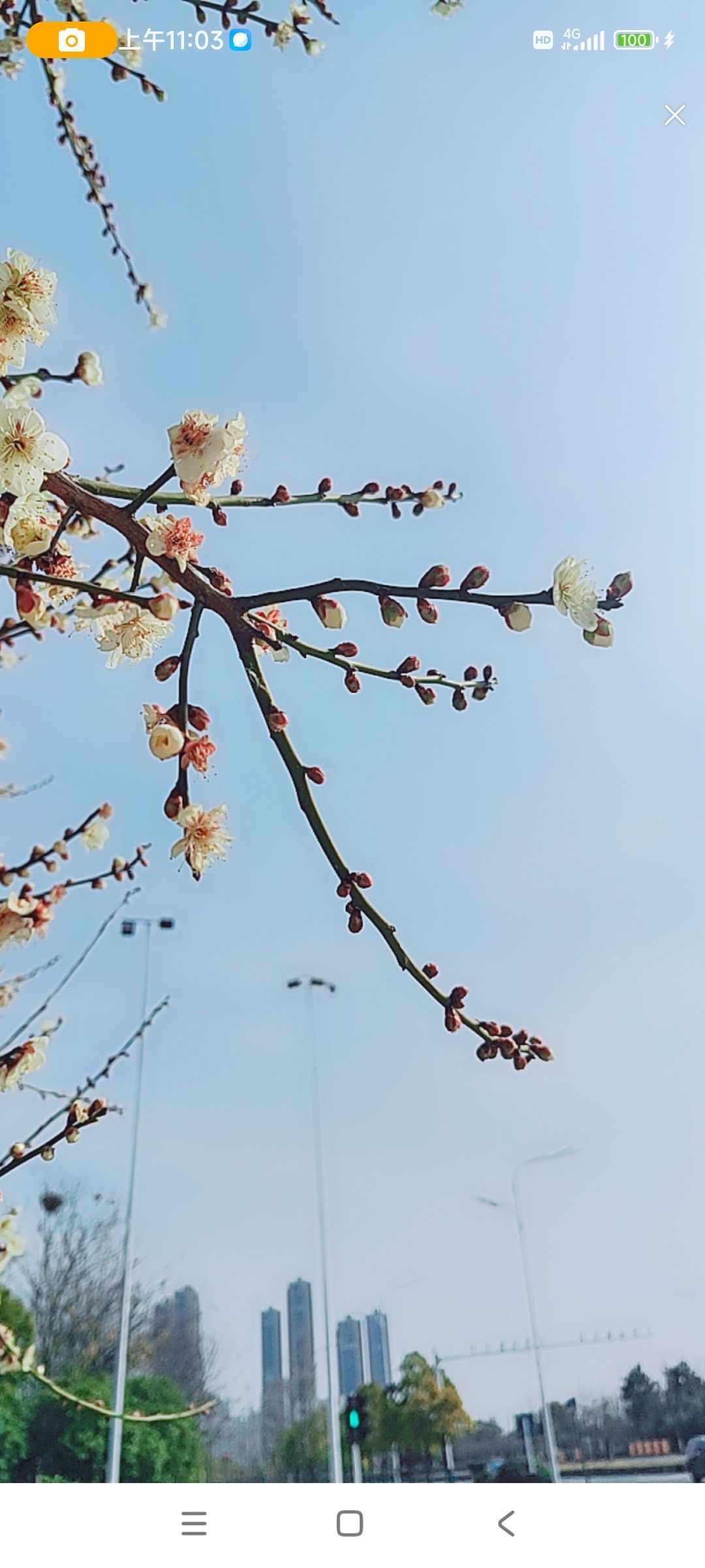 婷婷💕感恩有你陪伴的图片