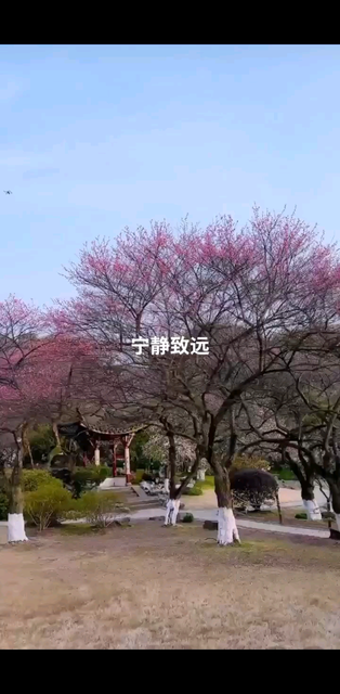 春暖花开