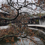 玖废废