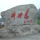 追风15865638