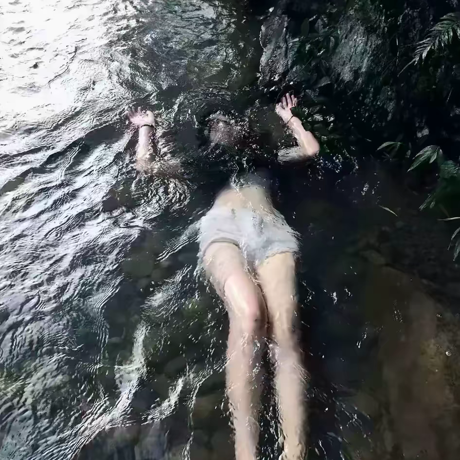 一芝魚海报