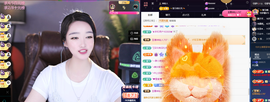窦窦，家里有事休息了主播照片