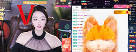 窦窦，家里有事休息了主播照片