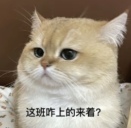 大拉馨💌差2个火山主播照片