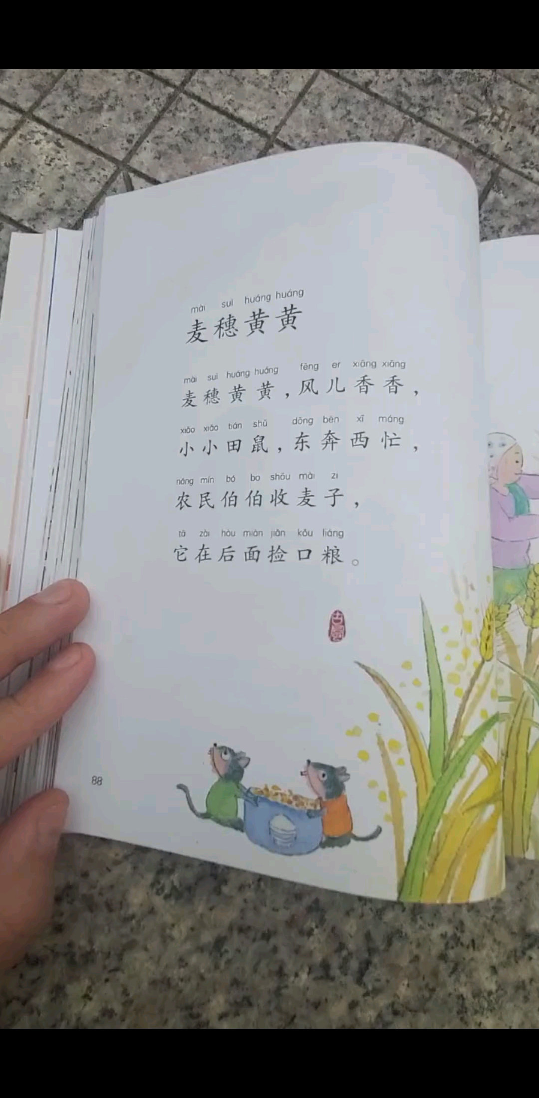 麦穗黄黄