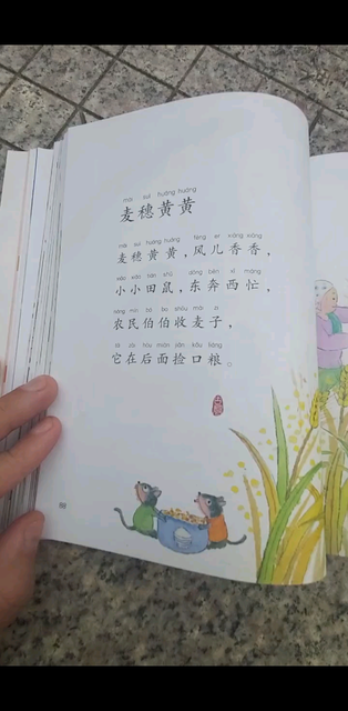 麦穗黄黄