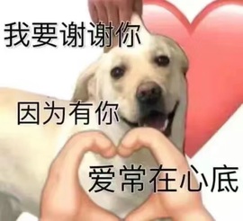 跑调嘉💟主播照片