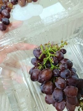 浮若若主播照片