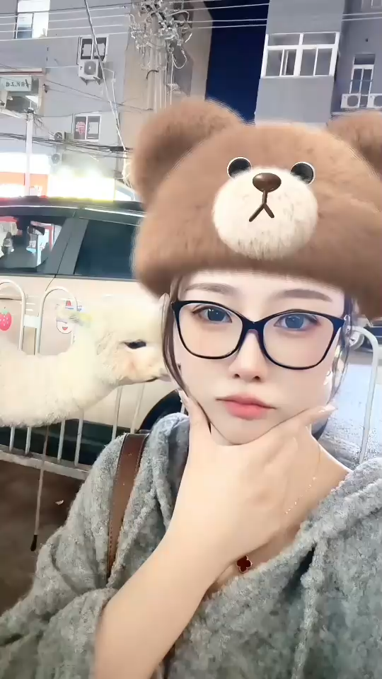 新宠 ❤️
