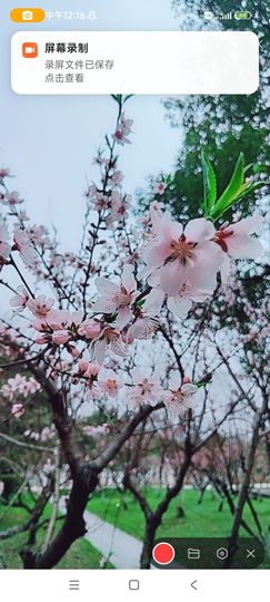 婷婷💕感恩有你陪伴的图片