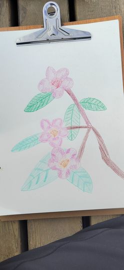 钟铃tina主播照片