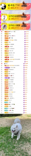 陈慧慧🥕早9晚8主播照片