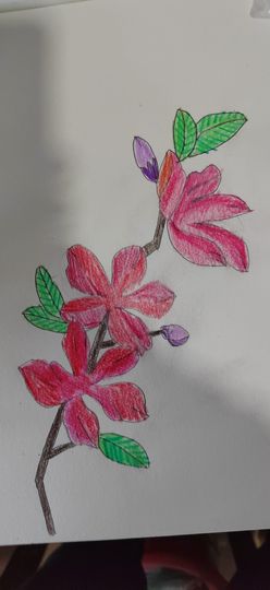 钟铃tina主播照片