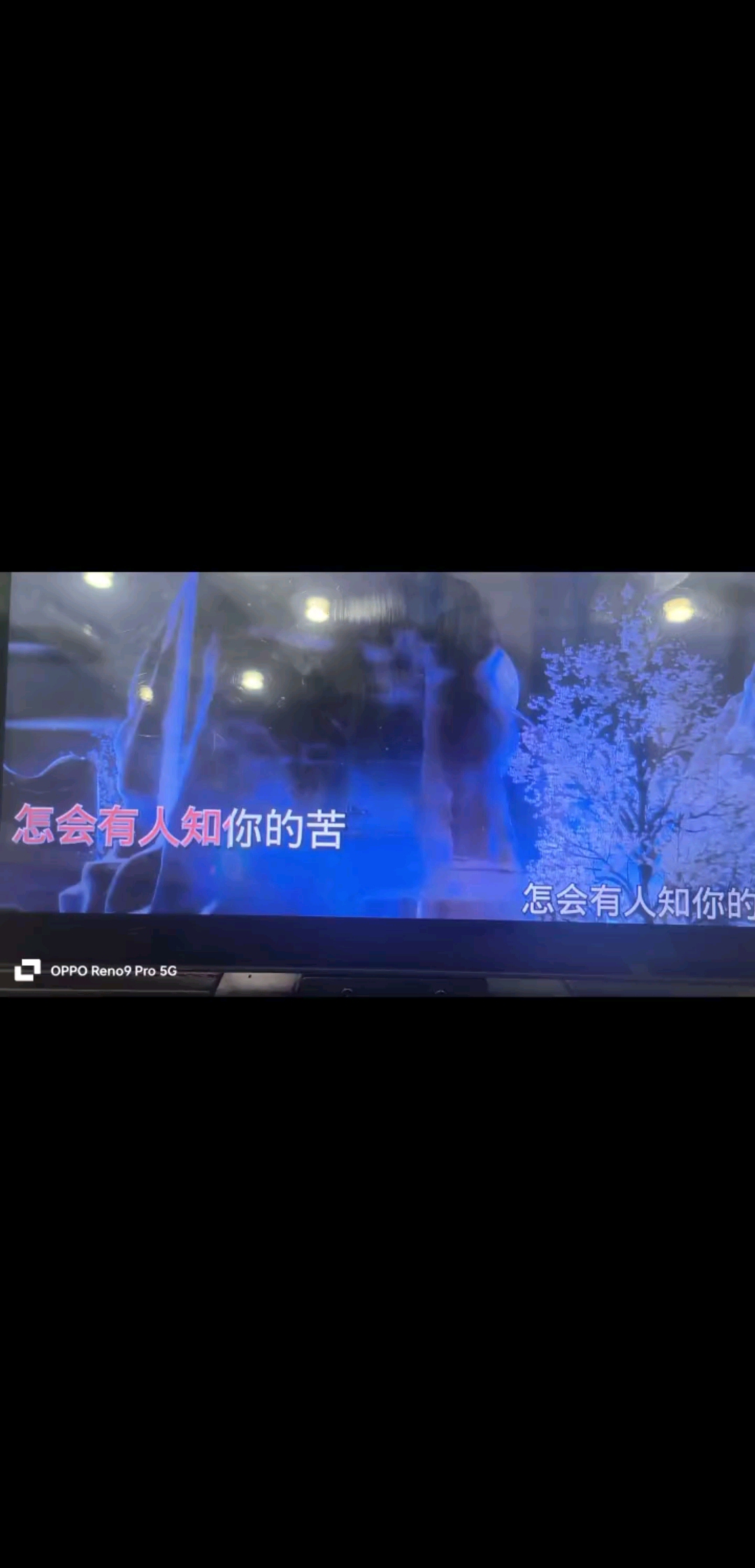 人生巅峰