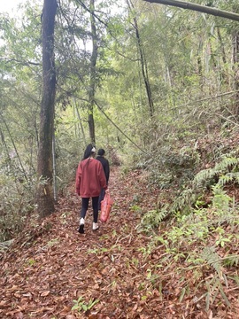 依芝の求道光！主播照片
