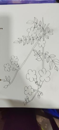 钟铃tina主播照片