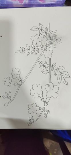 钟铃tina主播照片