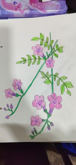 钟铃tina主播照片