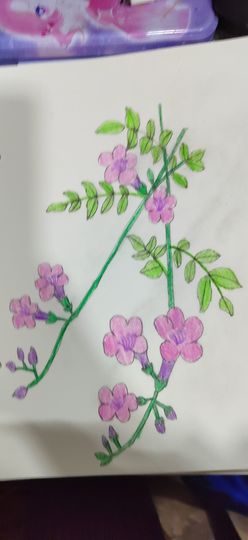 钟铃tina主播照片