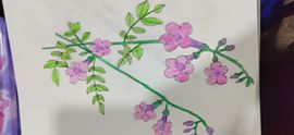 钟铃tina主播照片