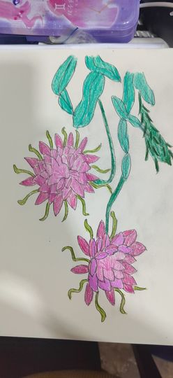 钟铃tina主播照片