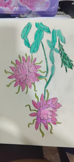 钟铃tina主播照片