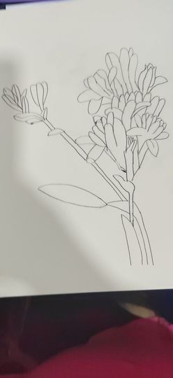 钟铃tina主播照片