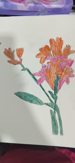 钟铃tina主播照片