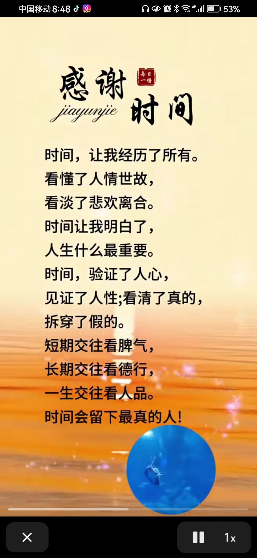 丑小鸭💞愿有一束光的图片
