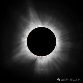 2025不好过主播照片