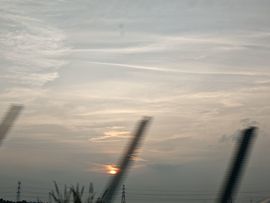Z.柔柔主播照片