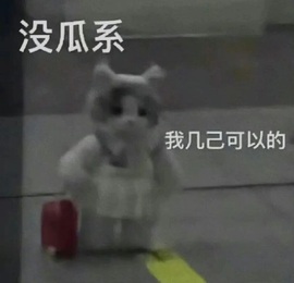 董贺我围观哥帝君啦的图片