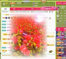 菲儿♥好运🌈主播照片