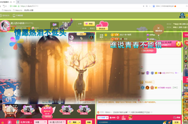 磨人的小依依主播照片