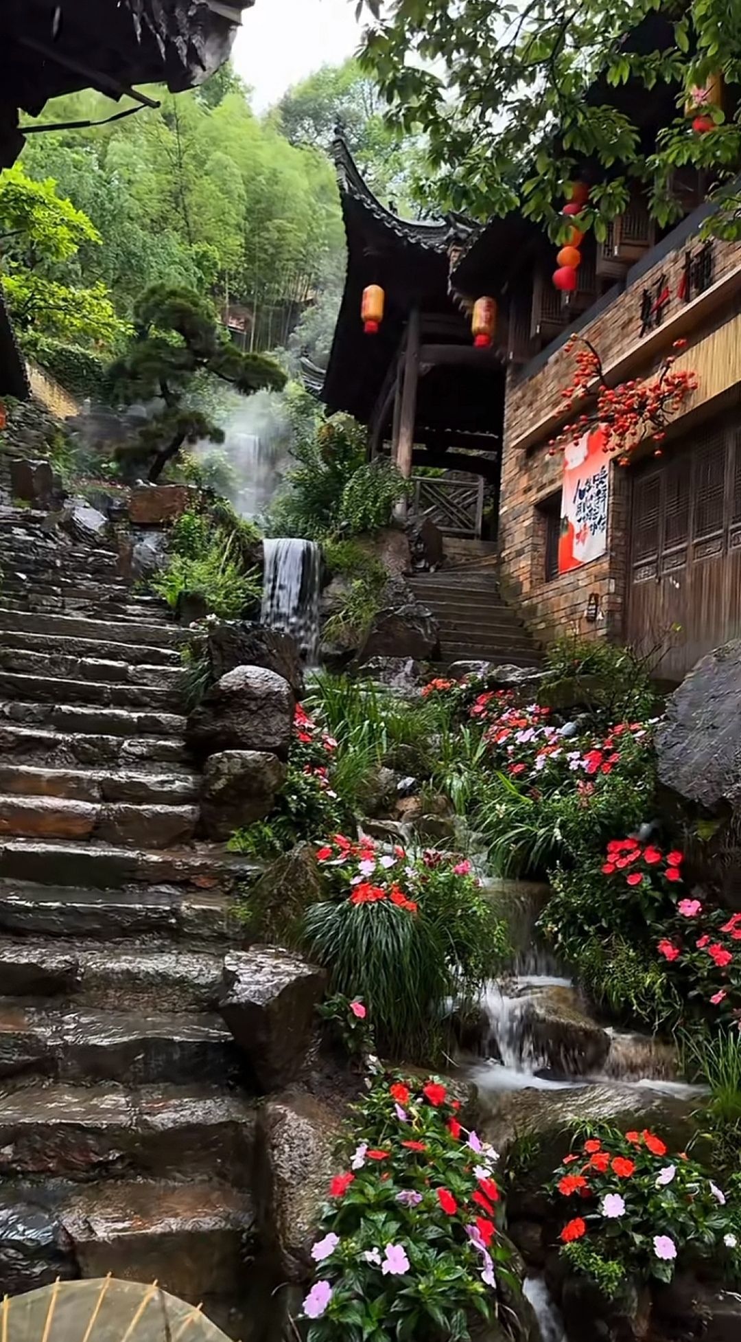 婷婷💕求过月底任务的图片