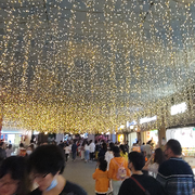 萌新宝宝djxne海报