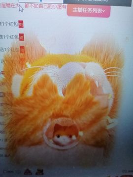 丑小鸭💞愿有一束光主播照片