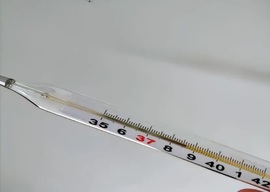 上官浅主播照片