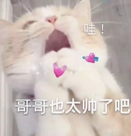 抱抱馨💌主播照片