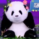 尤💞物🌙海报