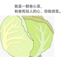 冉冉🍀好运来！的图片