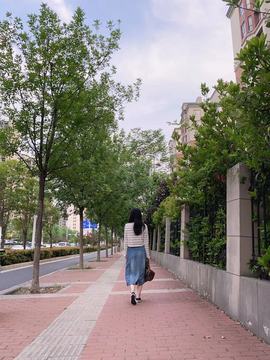 叶漫漫~努力努力！的图片