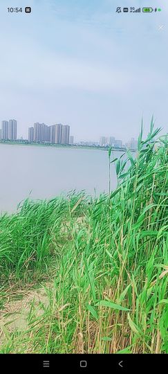 婷婷💕求过月底任务主播照片
