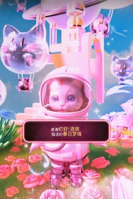 晓小晓晓主播照片