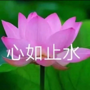 心如止水📖的头像