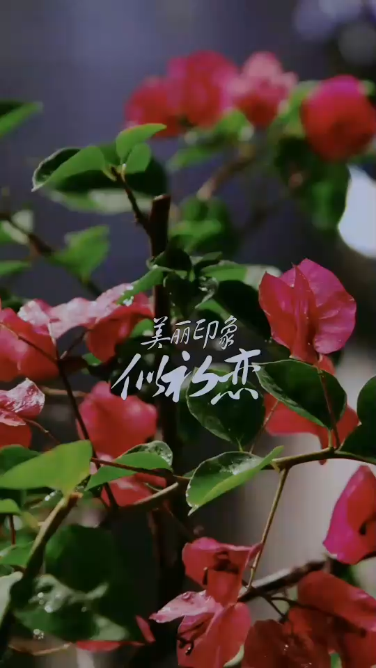 经过南宁老立交桥。🚶